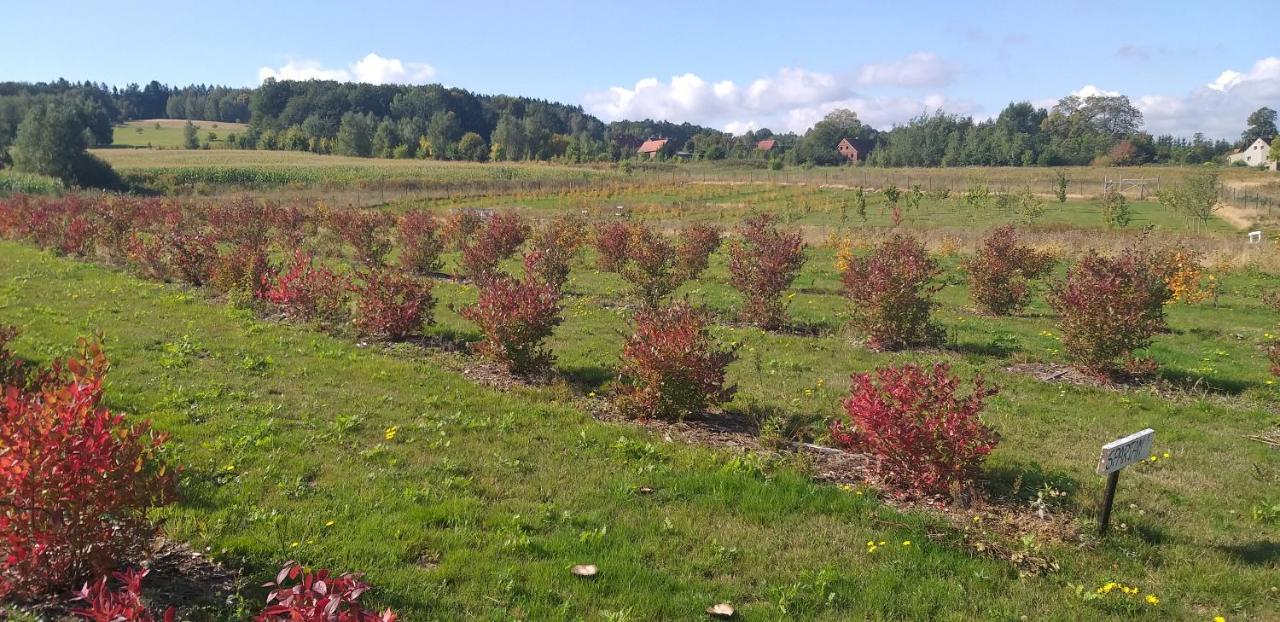 E Berry Farm - Slow Life Kaluzna Exterior photo